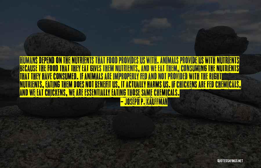 Joseph P. Kauffman Quotes 729635 Joseph P. Kauffman Quotes 729635