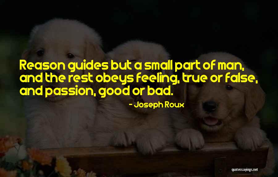 Joseph Roux Quotes 1515113