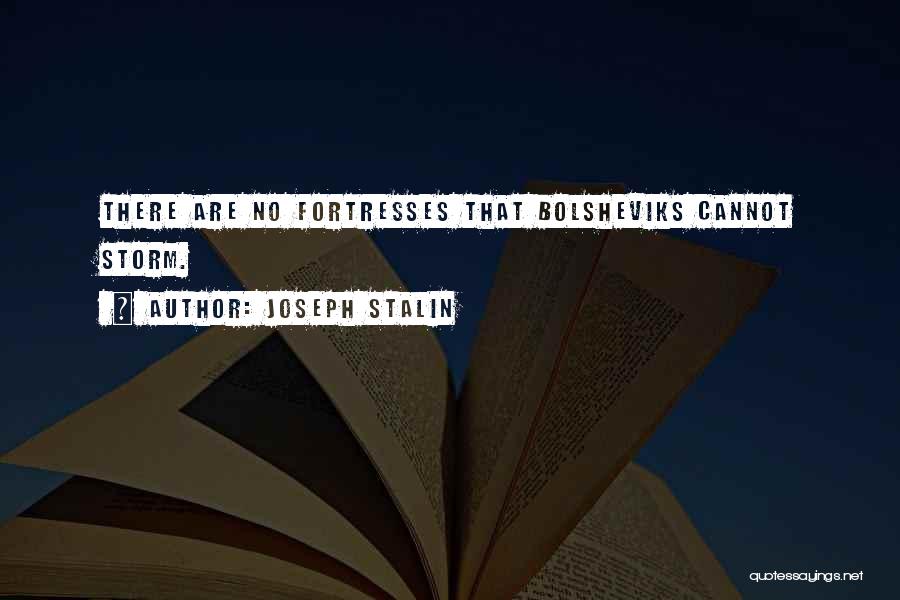 Joseph Stalin Quotes 773915