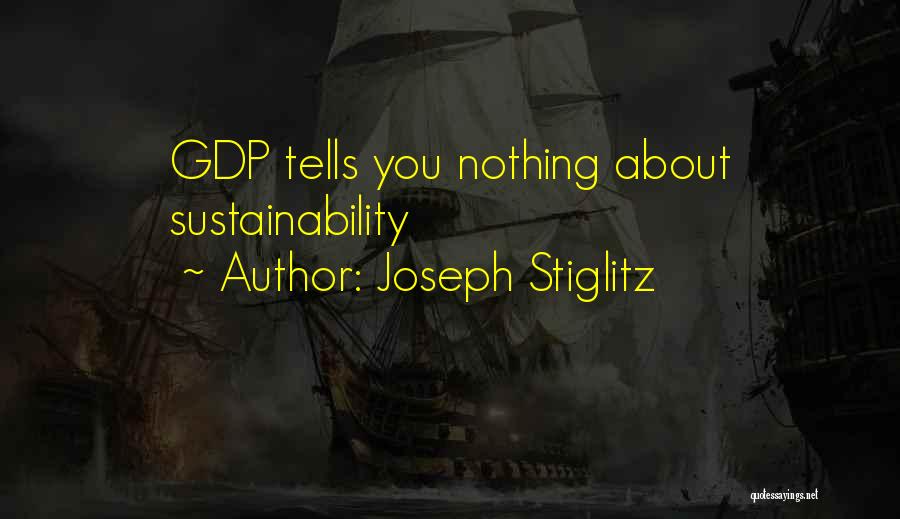 Joseph Stiglitz Quotes 442776