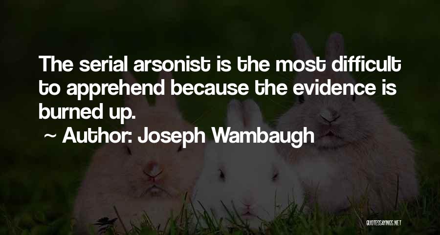 Joseph Wambaugh Quotes 1289322