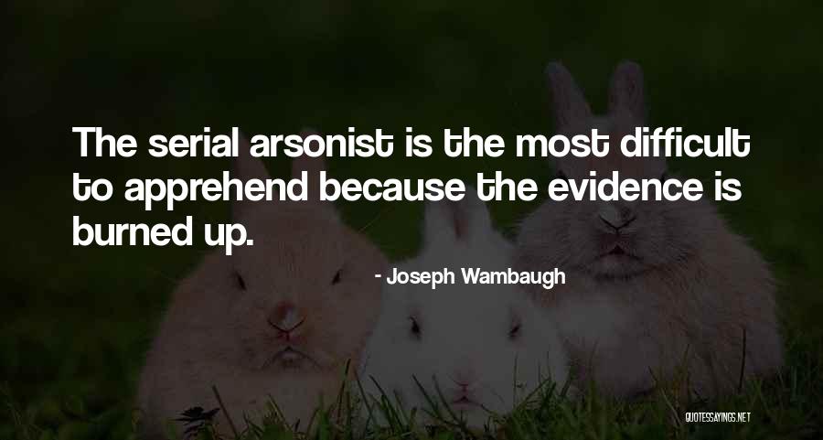 Joseph Wambaugh Quotes 1289322