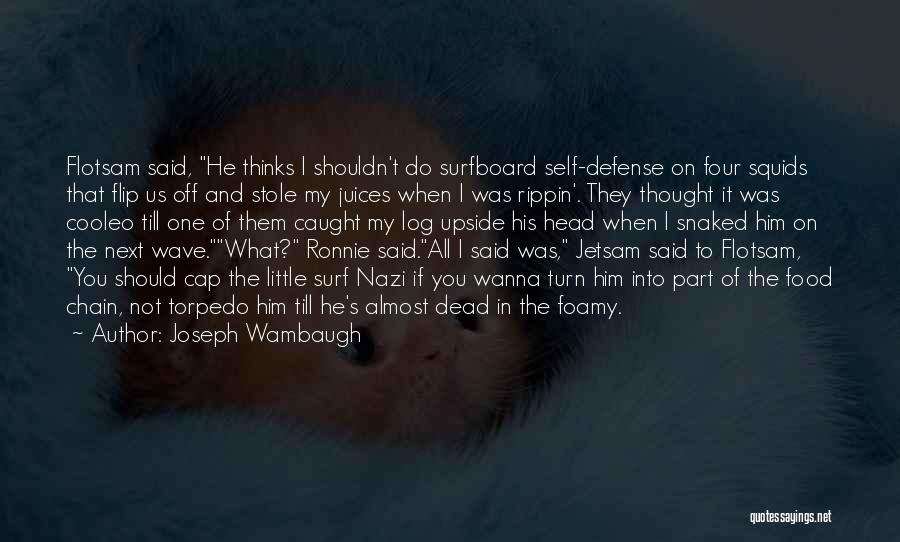 Joseph Wambaugh Quotes 559410