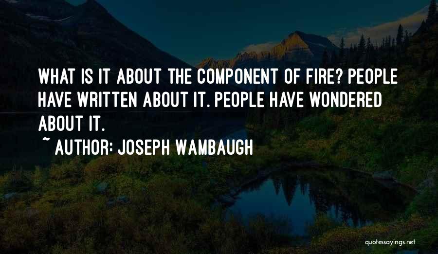 Joseph Wambaugh Quotes 574982