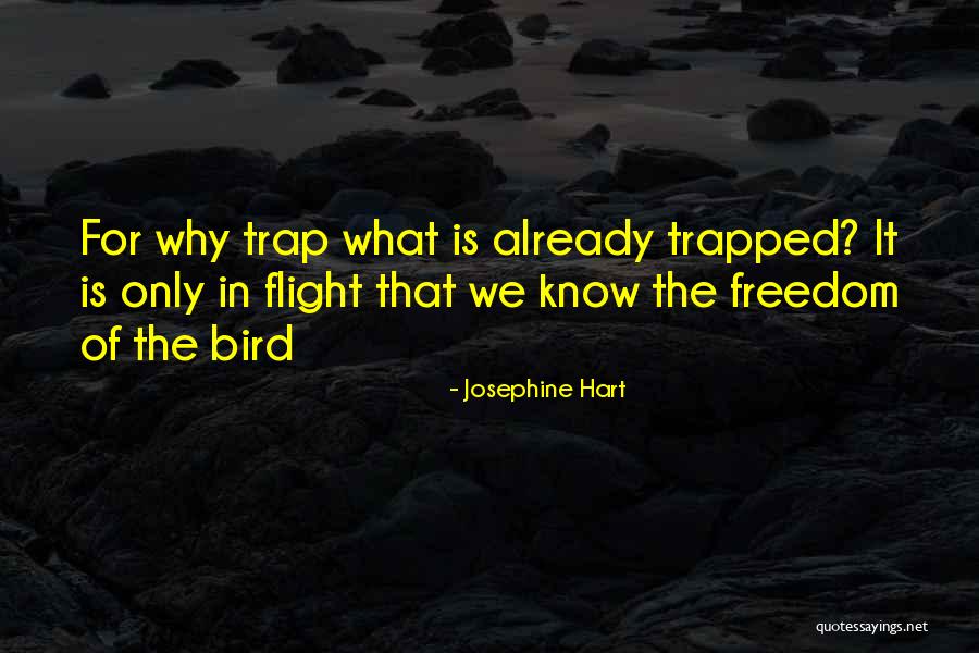 Josephine Hart Quotes 1604714