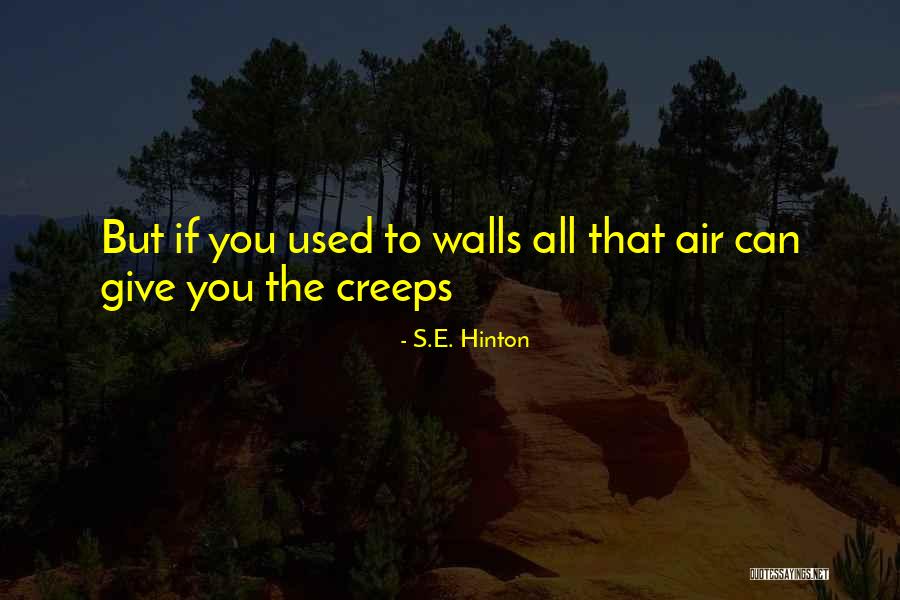 Josephine Marcus Quotes By S.E. Hinton Josephine Marcus Quotes By S.E. Hinton