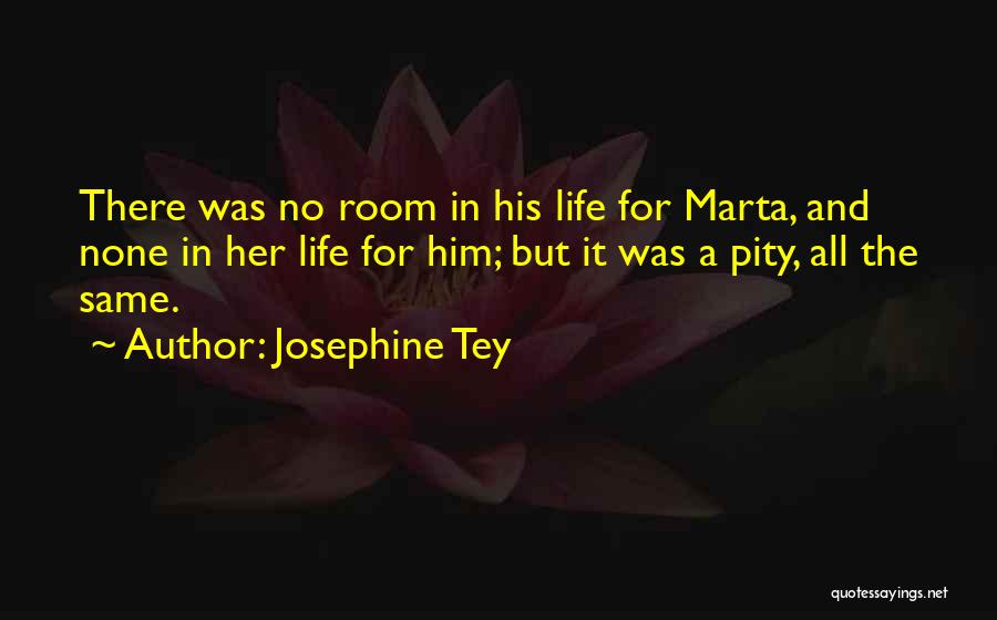 Josephine Tey Quotes 1910441