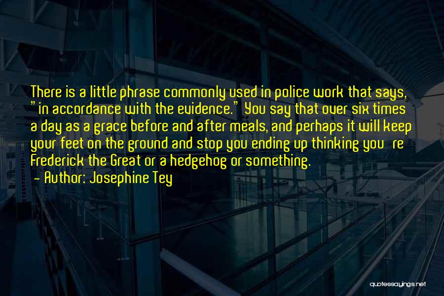 Josephine Tey Quotes 409713