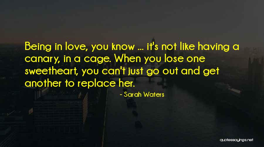 Josevaldo Quotes By Sarah Waters Josevaldo Quotes By Sarah Waters