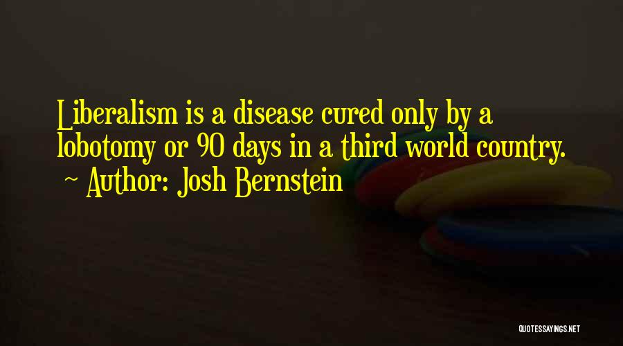 Josh Bernstein Quotes 2102235