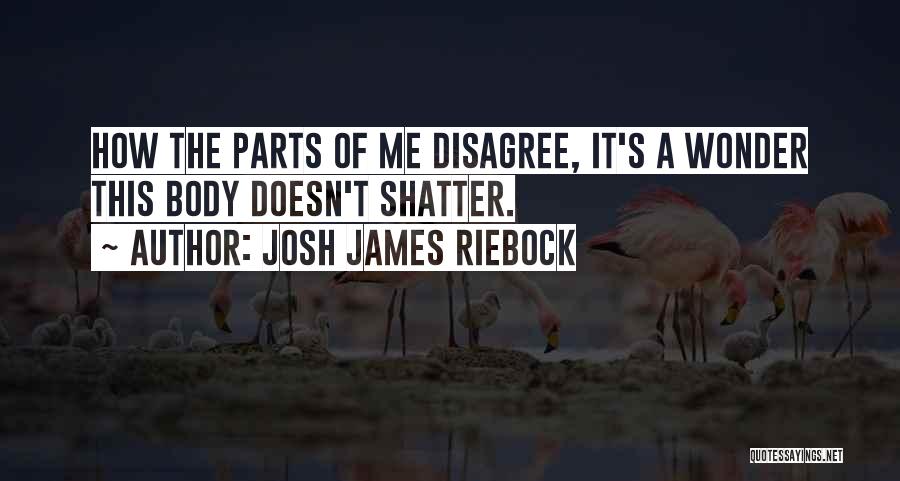 Josh James Riebock Quotes 544445