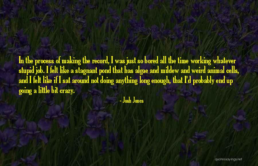 Josh Jones Quotes 246506