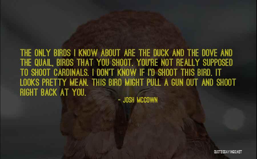 Josh McCown Quotes 701267