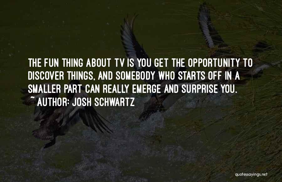 Josh Schwartz Quotes 709263