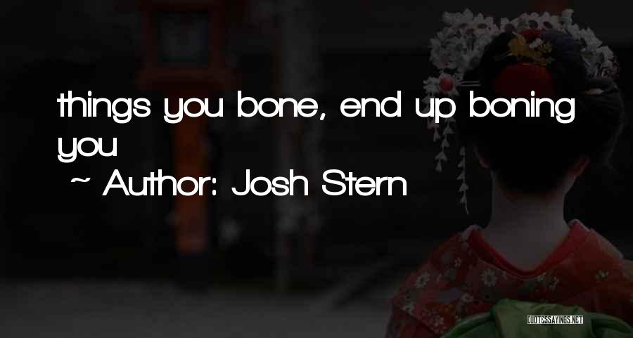 Josh Stern Quotes 1193883