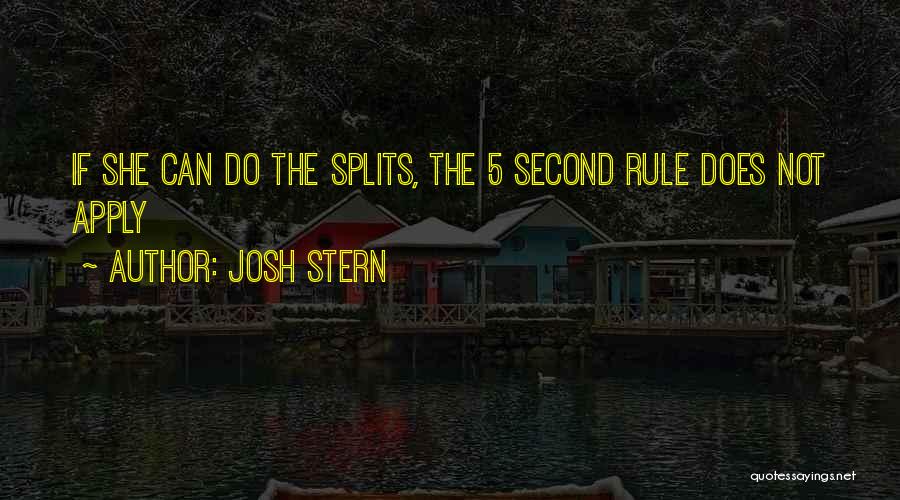 Josh Stern Quotes 1284104