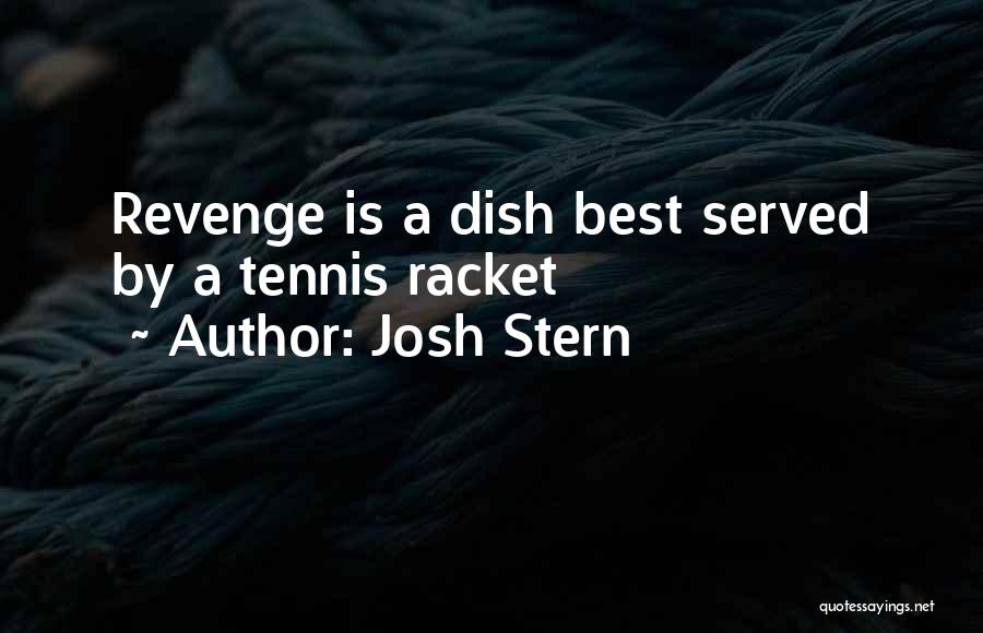 Josh Stern Quotes 1843449