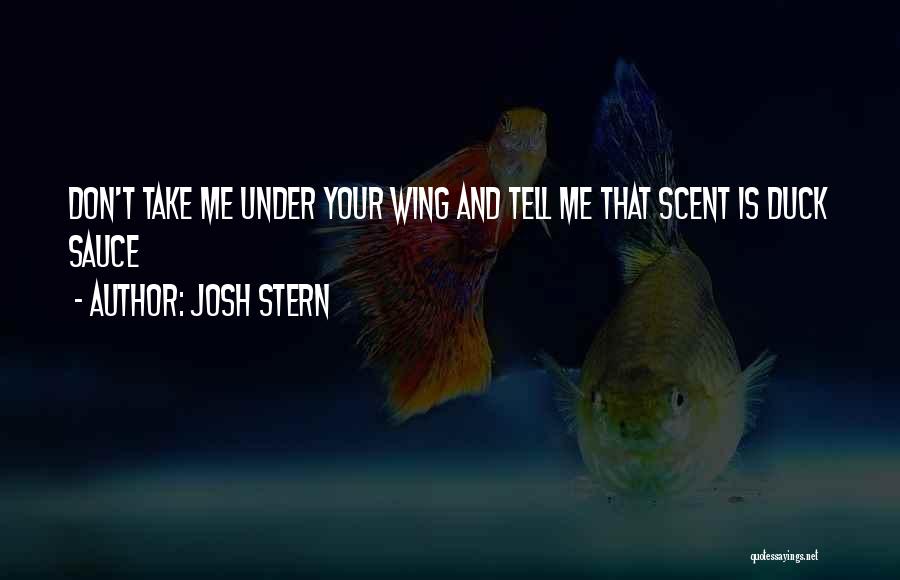 Josh Stern Quotes 271993