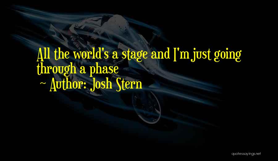 Josh Stern Quotes 350538