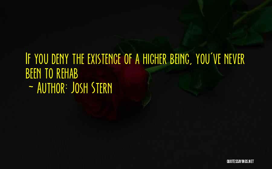 Josh Stern Quotes 665204