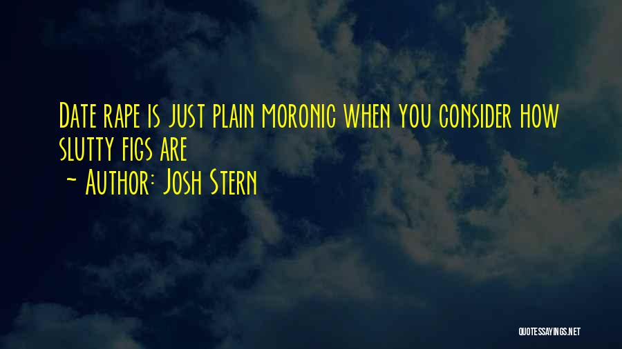 Josh Stern Quotes 889724