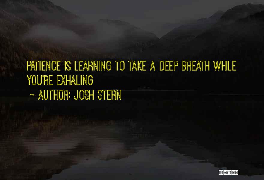 Josh Stern Quotes 998454