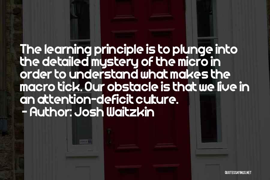 Josh Waitzkin Quotes 134022