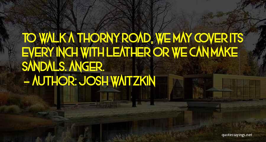 Josh Waitzkin Quotes 1905853