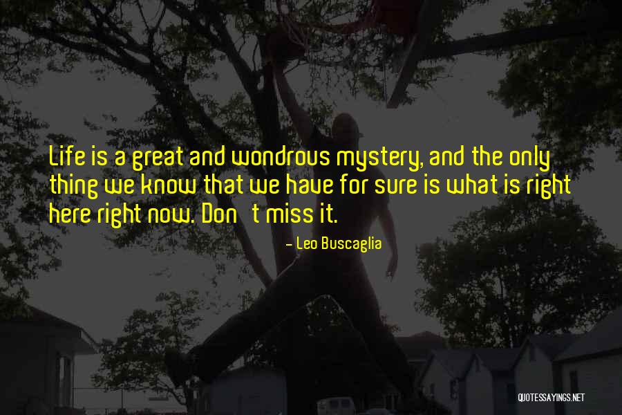 Joshing Quotes By Leo Buscaglia