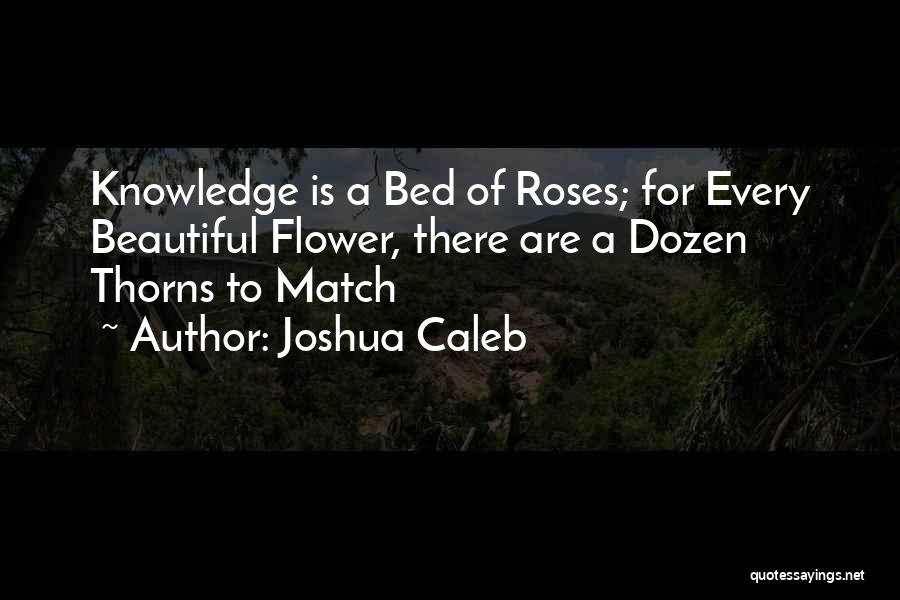 Joshua Caleb Quotes 1897054