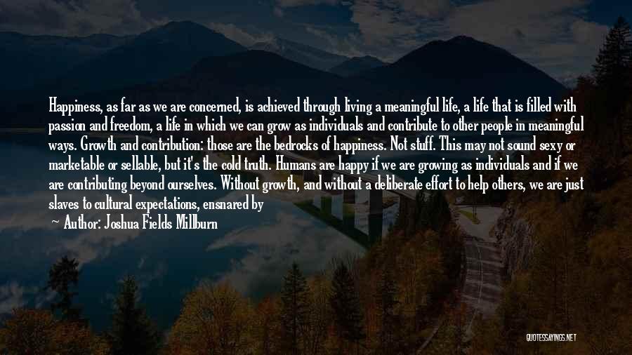 Joshua Fields Millburn Quotes 879273