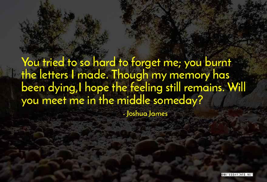 Joshua James Quotes 1465170