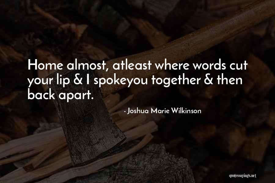 Joshua Marie Wilkinson Quotes 2085369