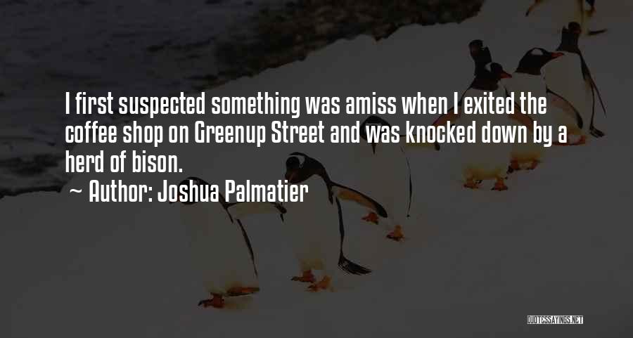 Joshua Palmatier Quotes 141429