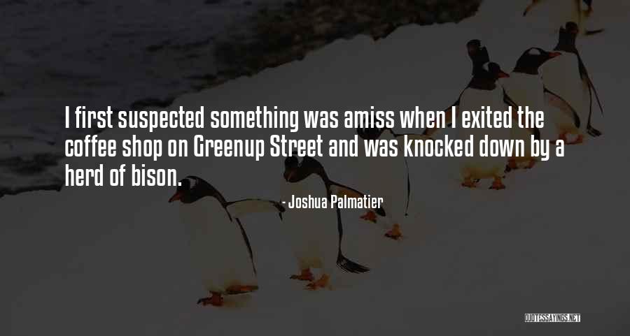 Joshua Palmatier Quotes 141429