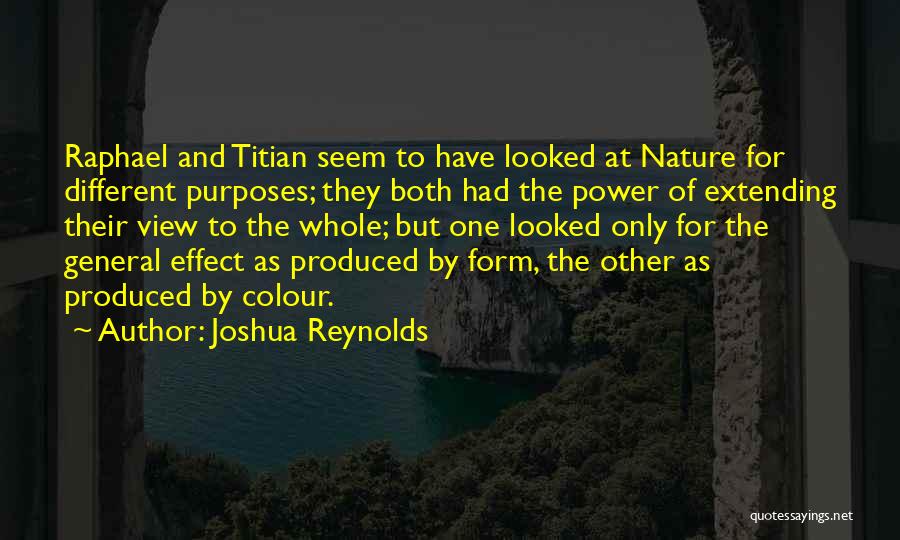 Joshua Reynolds Quotes 731492