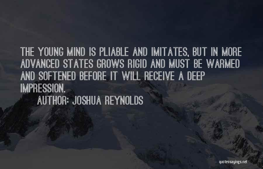 Joshua Reynolds Quotes 921953