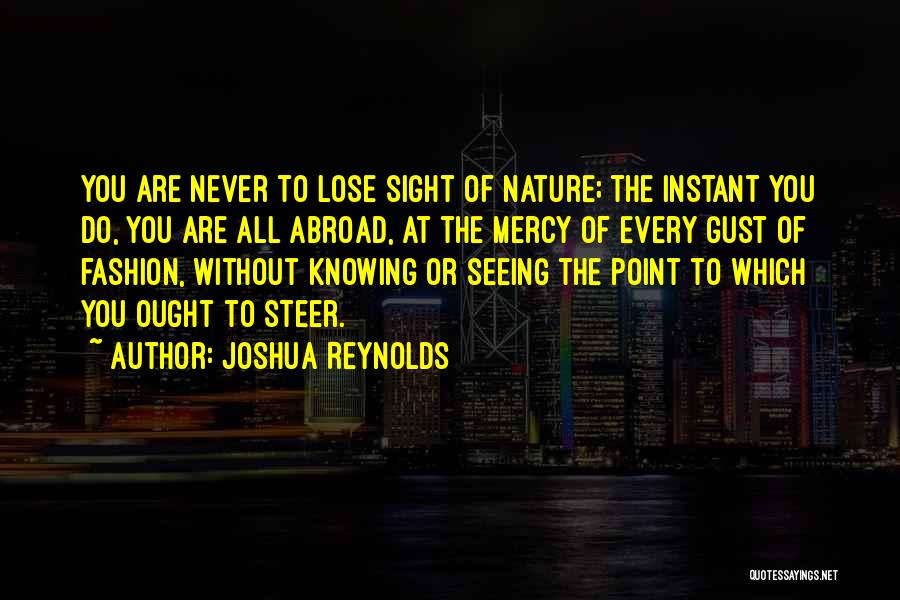 Joshua Reynolds Quotes 95738