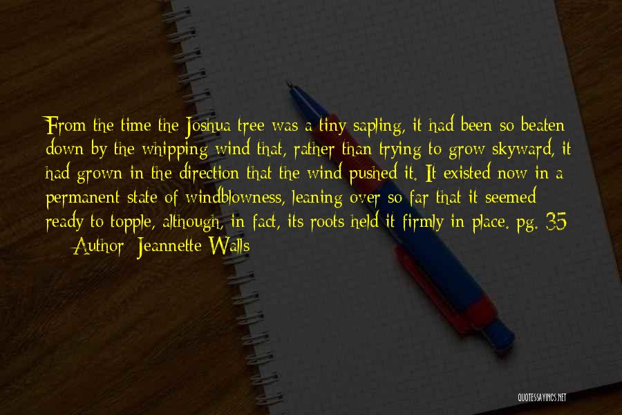 Joshua Tree Quotes By Jeannette Walls