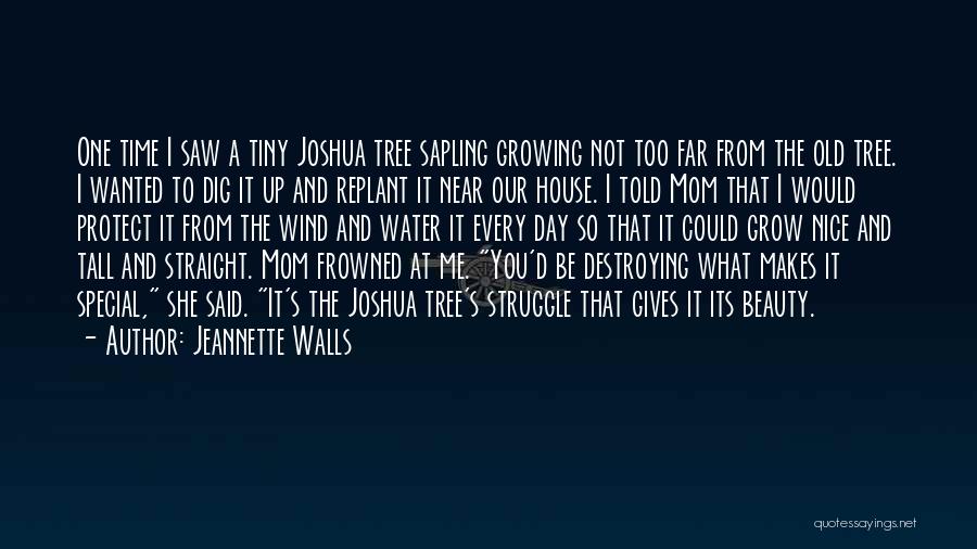 Joshua Tree Quotes By Jeannette Walls