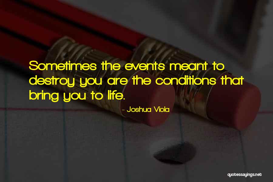 Joshua Viola Quotes 1979018 Joshua Viola Quotes 1979018