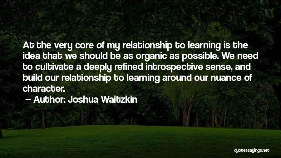 Joshua Waitzkin Quotes 1150336