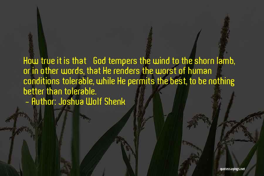 Joshua Wolf Shenk Quotes 1011382