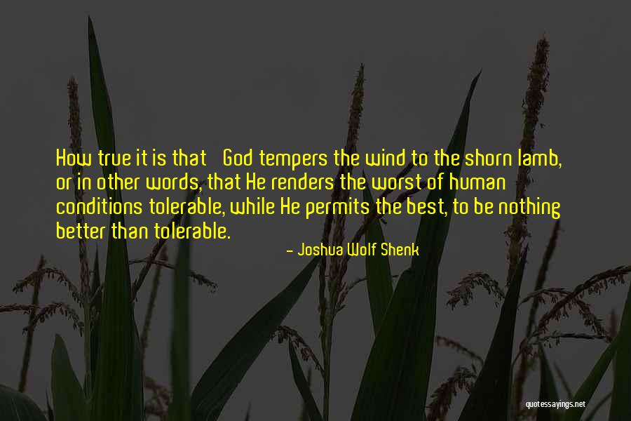 Joshua Wolf Shenk Quotes 1011382 Joshua Wolf Shenk Quotes 1011382