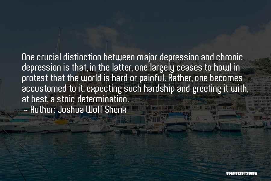 Joshua Wolf Shenk Quotes 1976205