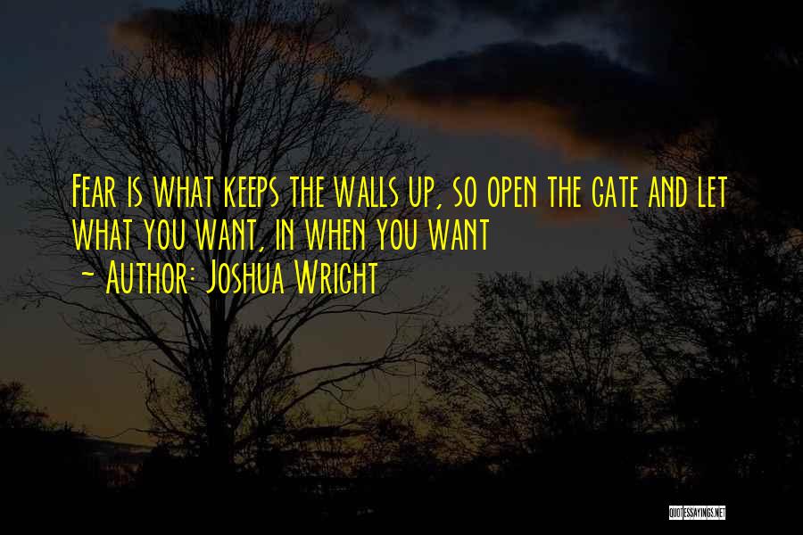Joshua Wright Quotes 1216584