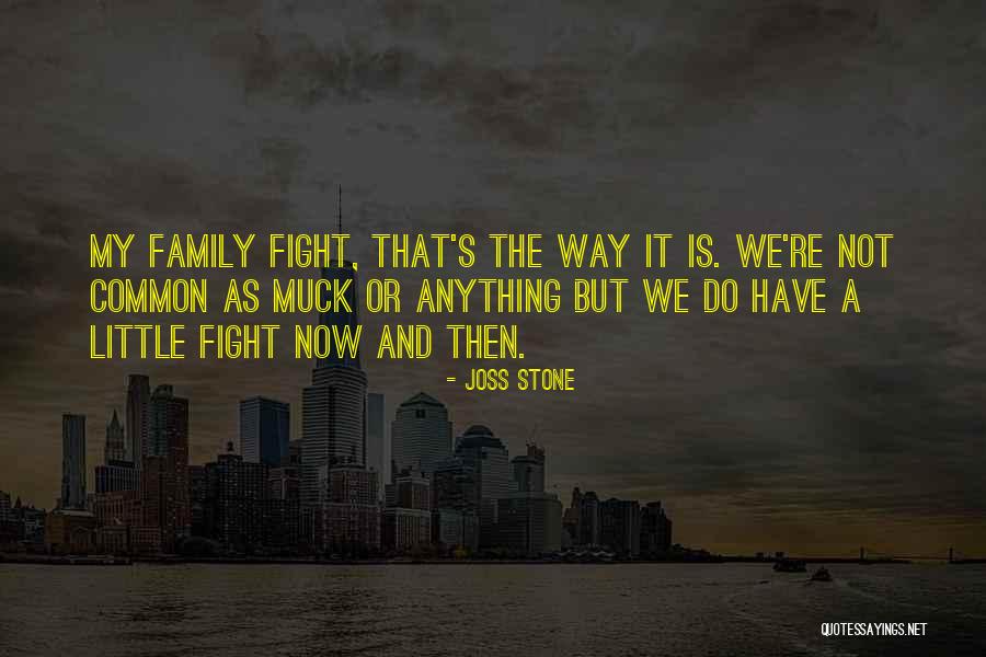 Joss Stone Quotes 1773567