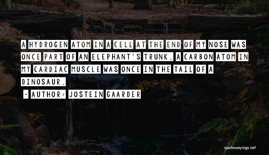 Jostein Gaarder Quotes 1038998