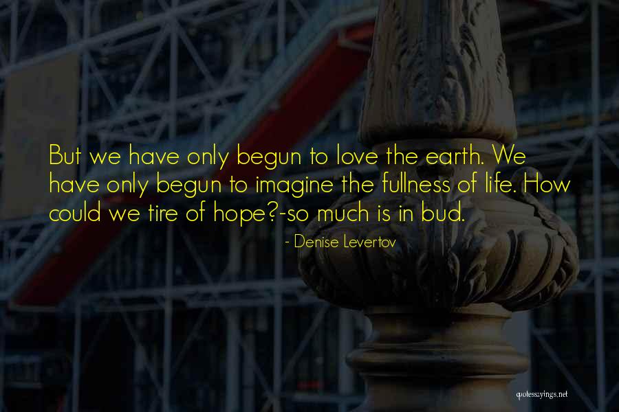 Jouet Voiture Quotes By Denise Levertov Jouet Voiture Quotes By Denise Levertov