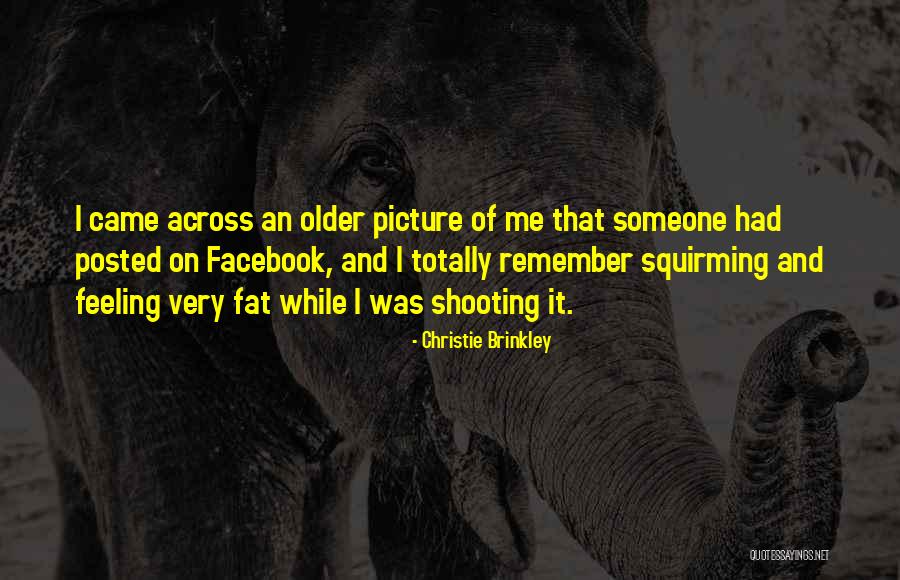 Joughin Quotes By Christie Brinkley Joughin Quotes By Christie Brinkley